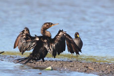 Una vuelta por la laguna de Monte