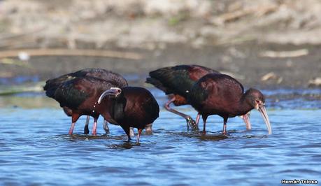 Una vuelta por la laguna de Monte