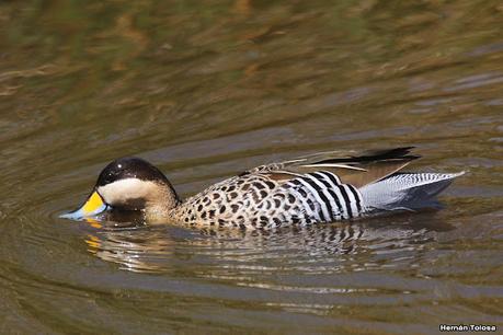 Una vuelta por la laguna de Monte
