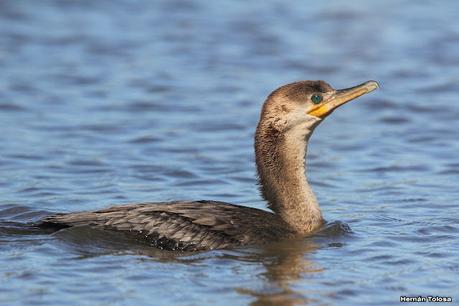 Una vuelta por la laguna de Monte