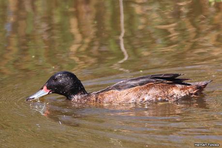 Una vuelta por la laguna de Monte