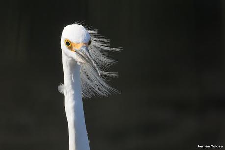 Una vuelta por la laguna de Monte