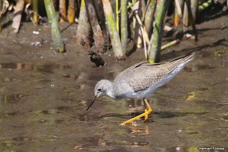 Una vuelta por la laguna de Monte