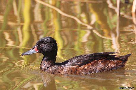 Una vuelta por la laguna de Monte
