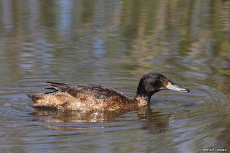 Una vuelta por la laguna de Monte