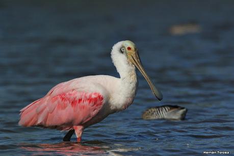 Una vuelta por la laguna de Monte