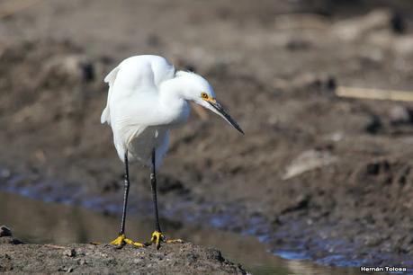 Una vuelta por la laguna de Monte