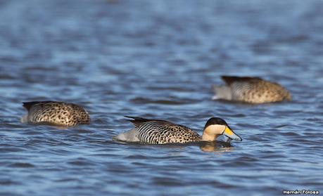 Una vuelta por la laguna de Monte