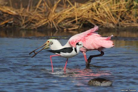 Una vuelta por la laguna de Monte