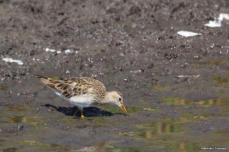 Una vuelta por la laguna de Monte