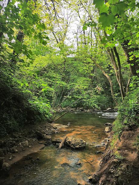 Los Covarones de Tuernes (Llanera)