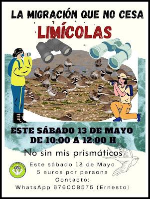 EL ADIÓS DE LOS COLIMBOS