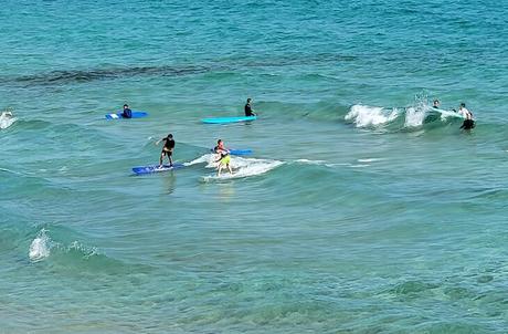 Las 12 cosas mejor valoradas para hacer en Fuerteventura