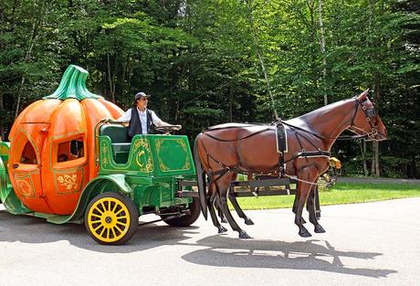 Tierra de la historia