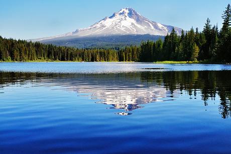 20 atracciones turísticas mejor valoradas en Oregón Bosque Nacional Mount Hood
