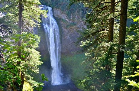 20 atracciones turísticas mejor valoradas en Oregón Salt Creek Falls