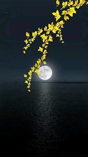 5.471 - QUIERO LOS BESOS...