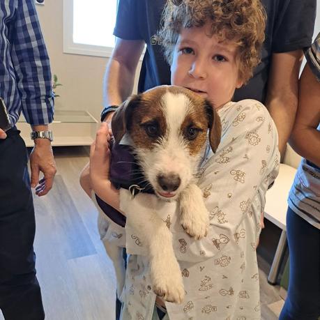 La importancia de cuidar a la familia con niños hospitalizados, según la Fundación Infantil Ronald McDonald