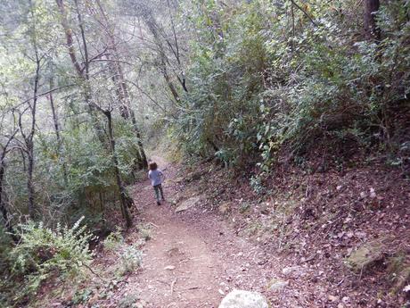 Camí de la Llúdriga