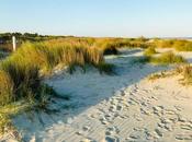 mejores ciudades costeras Estados Unidos