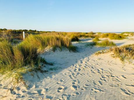 50 mejores ciudades costeras de los Estados Unidos