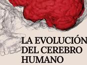 evolución cerebro humano: viaje entre fósiles primates, Emiliano Bruner