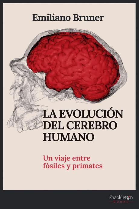 La evolución del cerebro humano: Un viaje entre fósiles y primates, de Emiliano Bruner