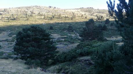 Puerto de Cotos o Puerto del Paular Puerto de Cotos o Puerto del Paular