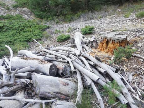 Puerto de Cotos o Puerto del Paular Puerto de Cotos o Puerto del Paular