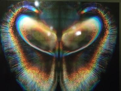 Cerebros y algoritmos