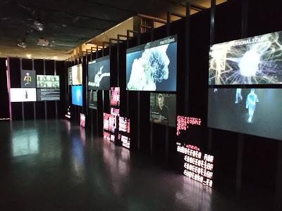 Cerebros y algoritmos