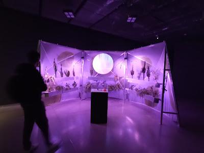 Cerebros y algoritmos