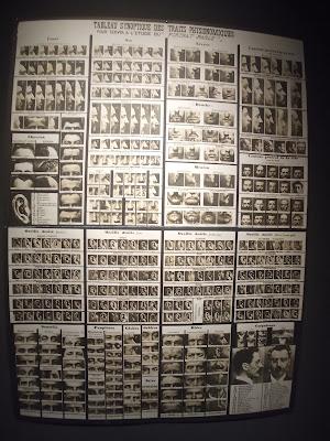 Cerebros y algoritmos