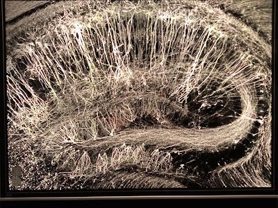 Cerebros y algoritmos