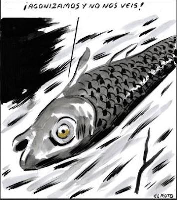 La cultura también se moja en las elecciones.