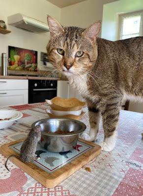 La cultura también se moja en las elecciones.