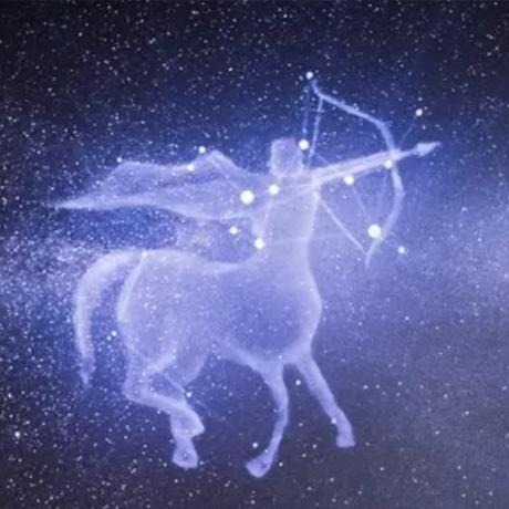 CÓMO NUESTRA MIRADA PRETENDE SALVAR DEL CAOS A LAS COSAS