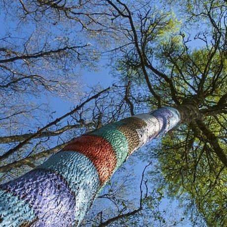 El bosque gallego de Ibarrola