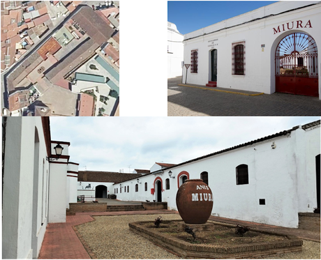ATENEO DEL VINO: Visita a la Destilería Miura en Cazalla de la Sierra: sábado 11 de marzo de 2023
