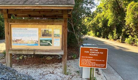 11 atracciones y cosas para hacer mejor valoradas en Key Largo, FL Caracol de árbol de Florida en Dagny Johnson Key Largo Hammock Botanical State Park