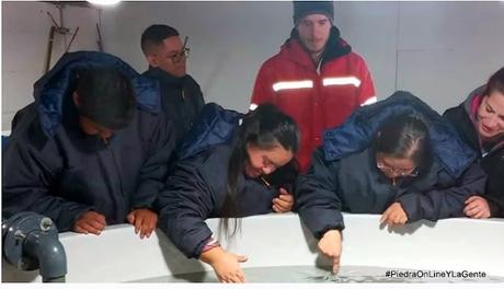 Doble apuesta de innovación agroindustrial: acuicultura y operarios con capacidades diferentes