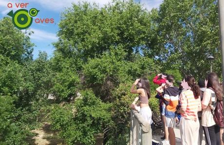 No maltratemos los parques urbanos