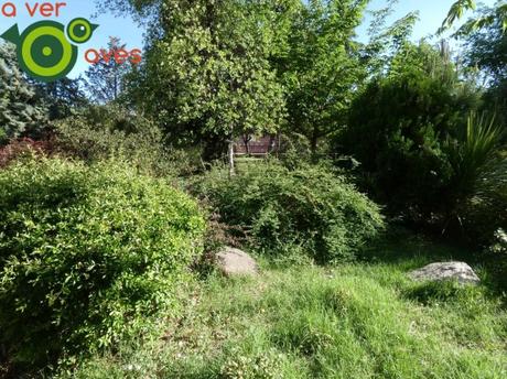 No maltratemos los parques urbanos