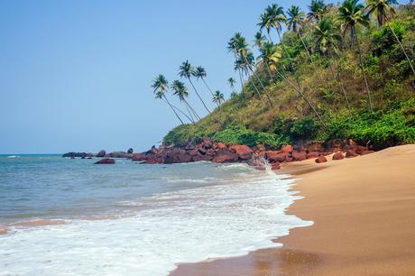 Palmeras en la playa de Colva