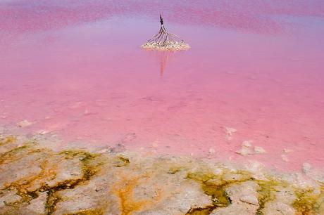 La playa rosa y las 5 playas rosadas más hermosas del mundo