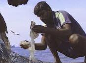 Visions Réel 2023 Parte Nombres propios