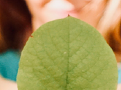 Ibérica Capital Partners invertirá millones euros activos inmobiliarios