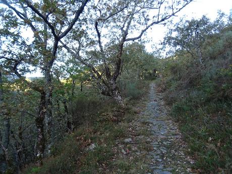Ricao-La Mortera´l Teixu-Navachos-La Veiga´l Muñón-El Cuadrazal