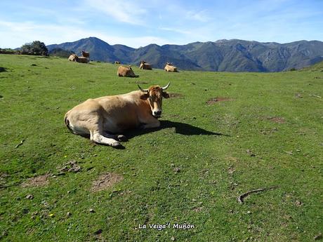 Ricao-La Mortera´l Teixu-Navachos-La Veiga´l Muñón-El Cuadrazal