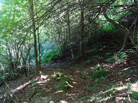 Ricao-La Mortera´l Teixu-Navachos-La Veiga´l Muñón-El Cuadrazal